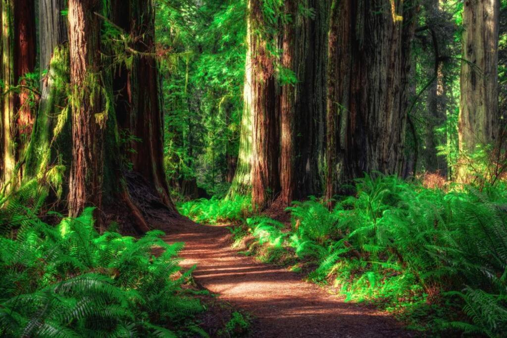 Bear Mountain - Suite 2 Grants Pass Ngoại thất bức ảnh